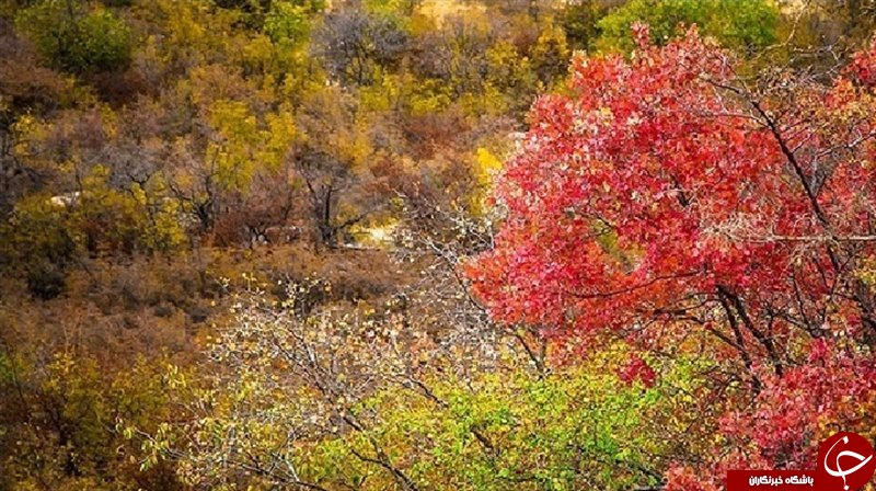تصاویری از منطقه زیبا و شکار ممنوع هاور
