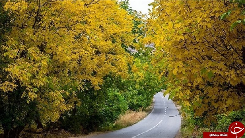 تصاویری از منطقه زیبا و شکار ممنوع هاور