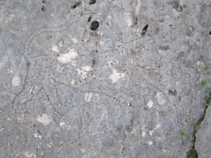 کشف دو صخره تاریخی در فارس