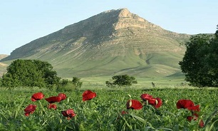 هرسین را بیشتر بشناسیم