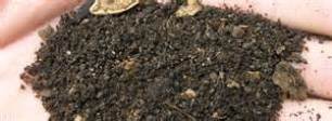 تولید بیش از 400 تن کمپوست در املش