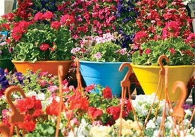بهره برداری از بزرگ ترین نمایشگاه دایمی گل و گیاه کشور تا پایان امسال در مشهد