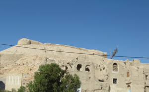 قلعه گلی کاریان از بناهای تاریخی فارس
