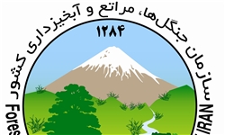اردبیل قطب تولید نهال و بذر گیاهان دارویی است