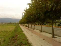 نصب نماد کشاورز در ورودی شهر واجارگاه رودسر