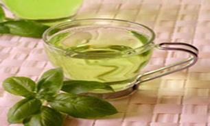 استقبال منابع طبیعی از کشت گیاهان دارویی در مراتع استان زنجان