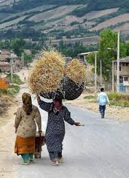 اجرای 40 پروژه اشتغال زایی ویژه زنان روستایی در استان قزوین