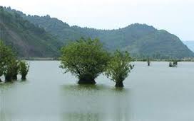 آبگیری بخش های بیشتری از تالاب هامون