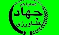 کشت سویا در 2 هزار هکتار از اراضی میاندورود