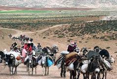 تدوین نقشه و اطلس جغرافیایی ایلراه های عشایری کشور