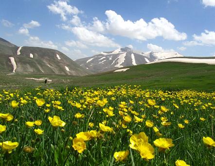 تنظیم "دما" و "رطوبت" گلخانه ها جهت جلوگیری از بروز "آفات" و "بیماری" ها
