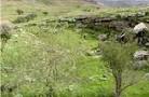 مهار آتش سوزی در منطقه حفاظت شده هفت شهیدان