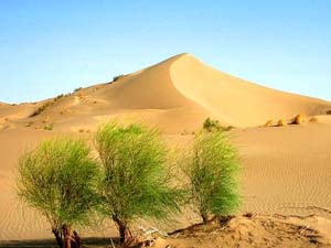 اختصاص ۳۸ میلیارد تومان اعتبار برای طرحهای بیابان زدایی در کشور