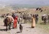 توزیع ۶ هزار تن مواد غذایی میان عشایر لرستان