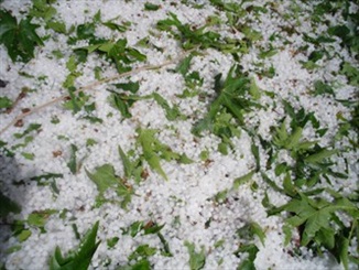 بارش تگرگ و رگبار در 14 استان کشور طی دو روز آینده