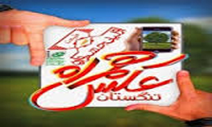 جشنواره «عكس همراه» تنگستان برگزيدگان خود را شناخت