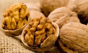 50 درصد از باغات گردوی "گهواره" بر اثر تگرگ نابود شدند