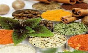 طب سنتی می‌تواند برندی برای گردشگری نطنز باشد