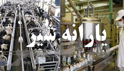 اختصاص 31 میلیارد ریال یارانه شیر به دامداران استان