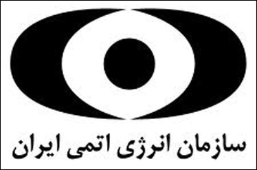 هیأت کارشناسی و فنی آژانس وارد تهران شد/ نشست امروز نمایندگان سازمان انرژی اتمی و آژانس