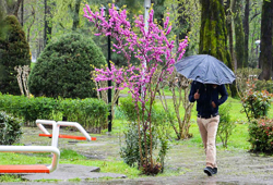 پیش بینی بارش های پراکنده، رعد و برق و تگرگ در استان چهارمحال و بختیاری