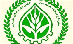 قرارداد کشت پنبه در 1300 هکتار از زمین‌های کشاورزی مازندران