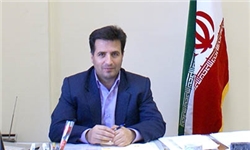 استانداردسازی شاخص‌های کتابخانه‌ای در سال اقتصاد و فرهنگ