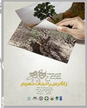 آغاز بازبینی آثار نخستین جشنواره تئاتر میدانی زیست محیطی ایران