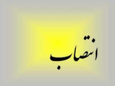 رئیس امور مجلس معاونت برنامه‌ریزی و نظارت راهبردی رئیس جمهور منصوب شد