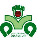 فرار از سقوط به دسته یک