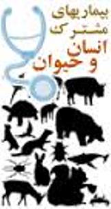 رئیس دامپزشکی سبزوار به مناسبت هفته ی سلامت اعلام کرد

لزوم کنترل بیماری های مشترک انسان و حیوان