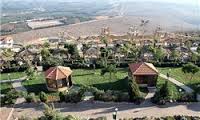 آغاز فاز دوم نشاء کاری بهاره در معابر منطقه 4