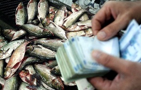 کاهش صادرات ماهی به دلیل انتخابات در عراق
