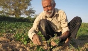 افزوده شدن 15 سال به سن متوسط کشاورزان کشور