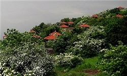 محرومیت‌های مازندران زیر درختان سبز گم شده است