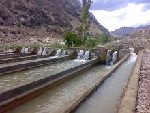 کسب رتبه نخست تولید ماهیان سردابی برای چندمین سال متوالی