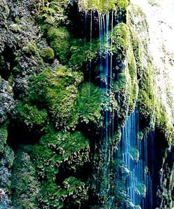 چشمه‌هایی زیبا در دل کوهستان + تصاویر
