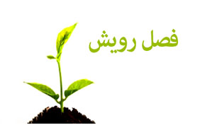 کلیپ صوتی با عنوان "فصل رویش" از بیانات رهبر معظم انقلاب