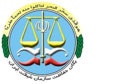 جمع آوری بیش از 47 هزاررشته دام صیادی از آب های ساحلی مازندران