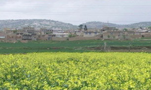 سفري شاد و مفرح با ريوار
