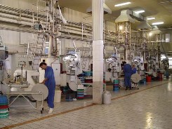 تولید بستنی با طعم ماهی