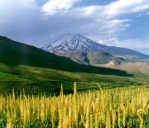 صدایتان را بالا ببرید نه سطح دریاها را