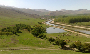 غاری در دل روستای جنگلی "فارسان"