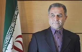 دیدار با سران قوا در دستور کار شورای‌عالی ایرانیان خارج از کشور