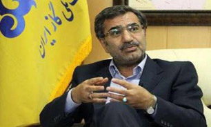 "سرمایه‌گذاری" در صنعت" پتروشیمی" باید براساس مزیت "رقابتی" باشد نه مزیت نسبی