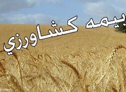 بیمه محصولات 43 هزار کشاورز در استان چهارمحال و بختیاری