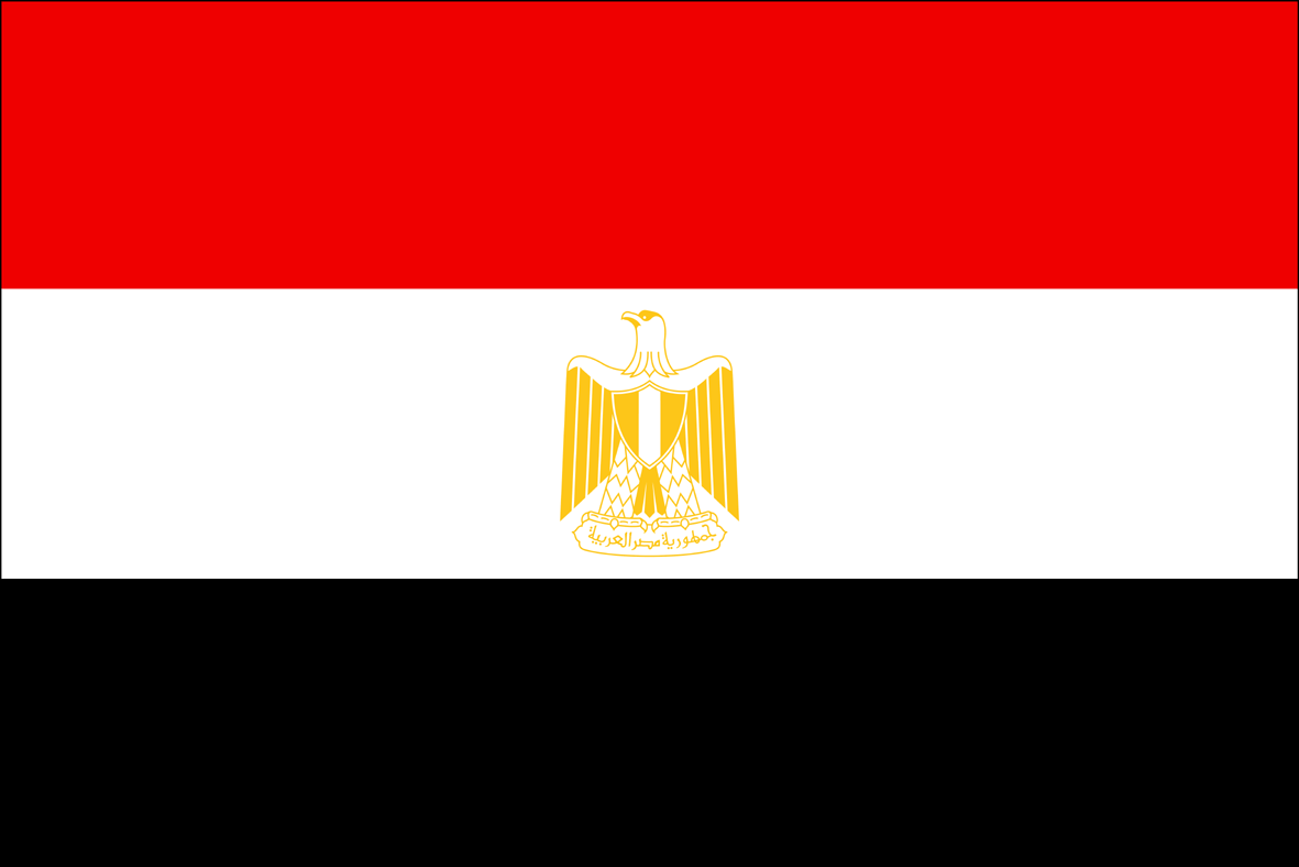 برخورد خشونت‌بار با اخوان‌المسلمین مشکلات مصر را حل نمی‌کند