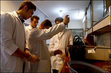 اسامی 13 پژوهشگر ایرانی در بین پر استنادترین دانشمندان جهان