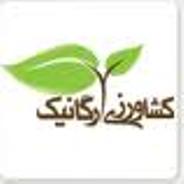 بهبود سلامت منابع آب و خاک در سایه اجرای کشاورزی ارگانیک