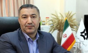 رشد 60 درصدی خرید "گندم"/ خرید 2.5 میلیون تن گندم در سال جاری